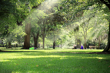 景區(qū)公園氣象站：保障游客安全與提升旅游體驗的重要設(shè)施